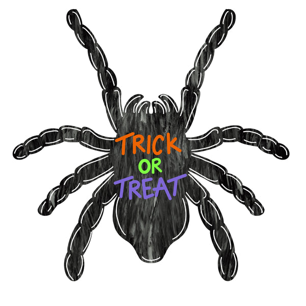 Trick or Treat Spider Door Hanger DIY Kit